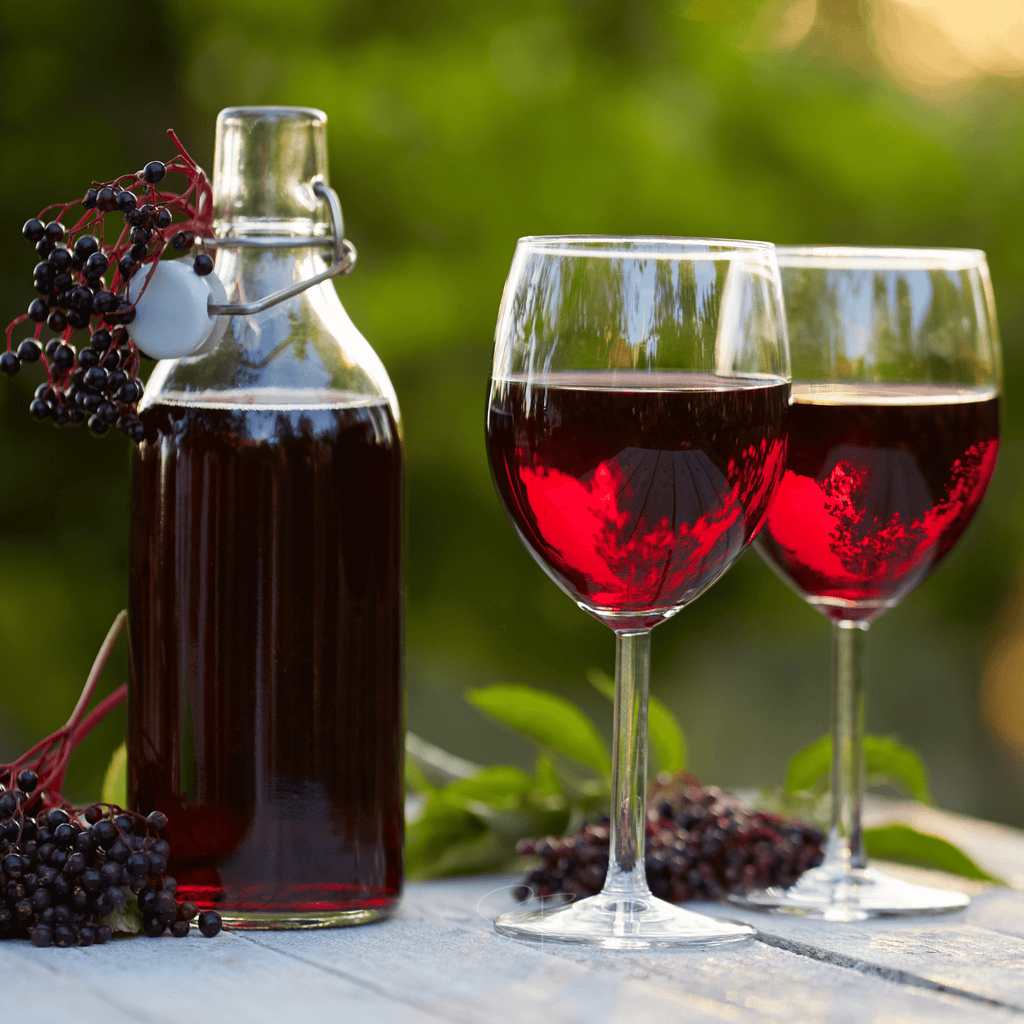 American Black Elderberry – 50 Seeds