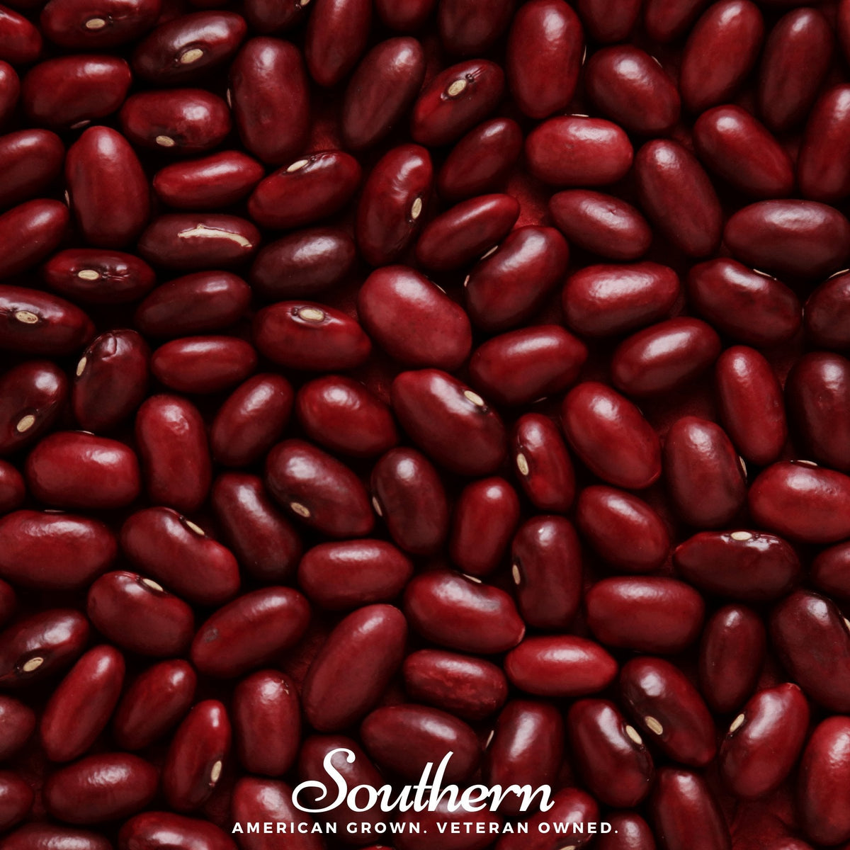 Dark Red Kidney Bean (Bush) – 20 Seeds