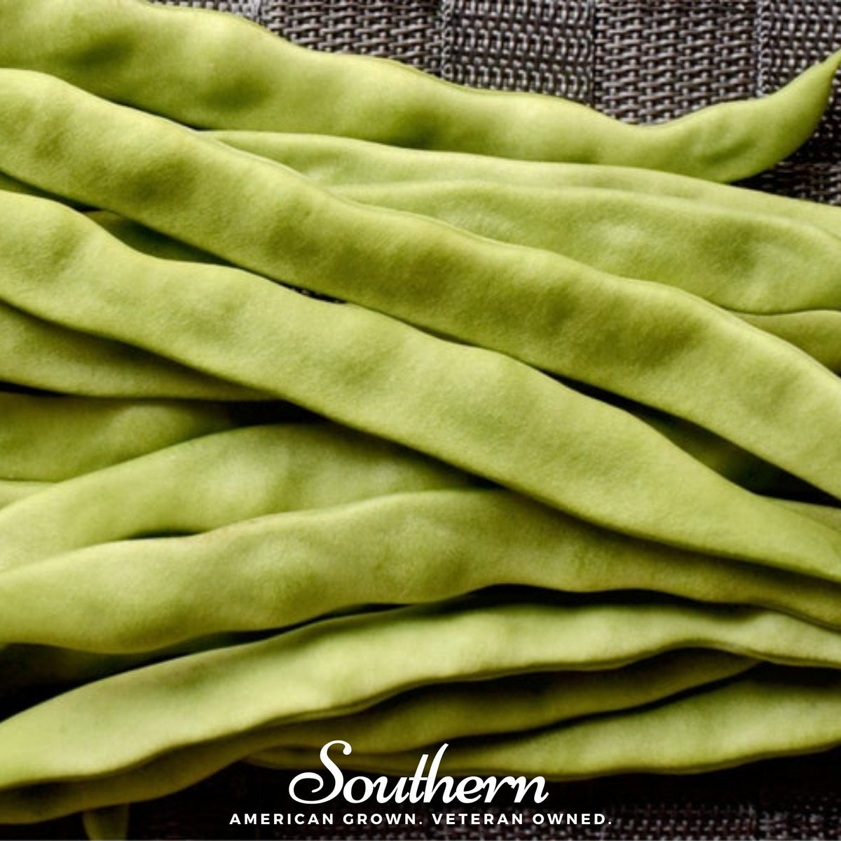 Roma II Bean (Bush Bean) – 30 Seeds