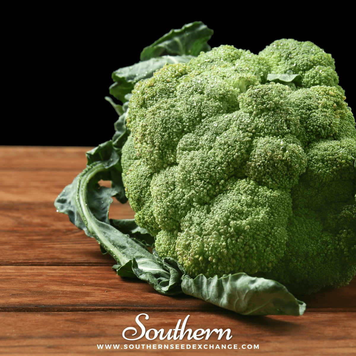 Calabrese Green Broccoli – 100 Seeds