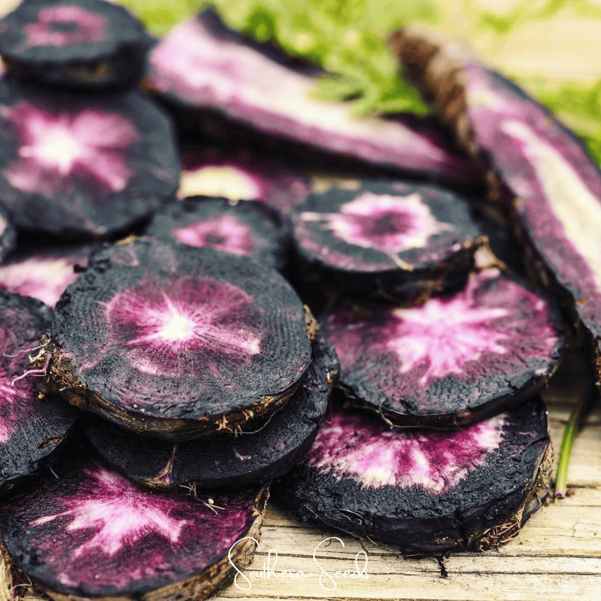 Black Nebula Carrot – 250 Seeds