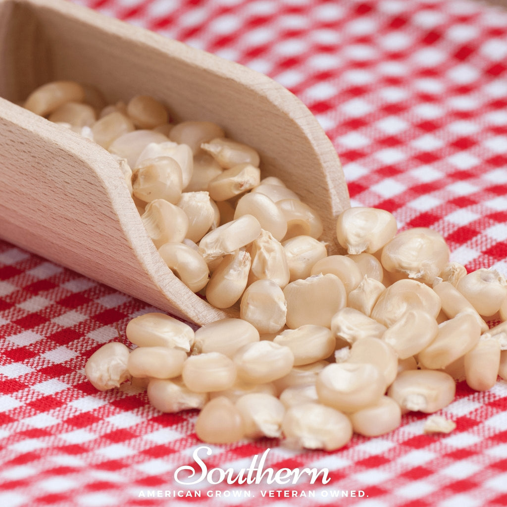 Stowells Evergreen Sweet Corn – 30 Seeds