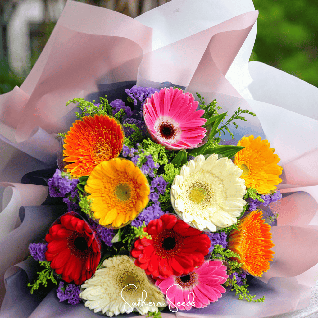 Gerbera Daisy Mix – 20 Seeds