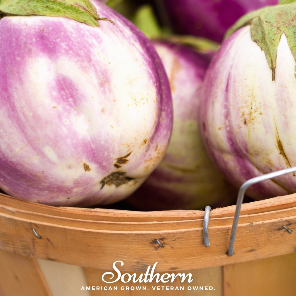 Rosa Bianca Eggplant – 50 Seeds
