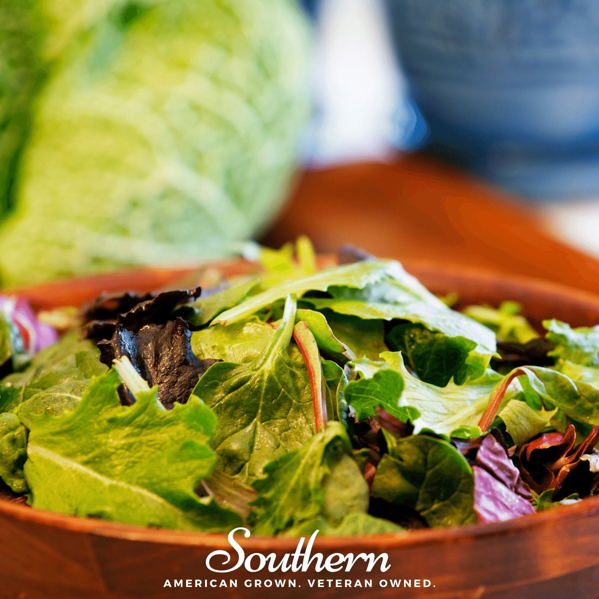 Mesclun Mix Lettuce – 500 Seeds