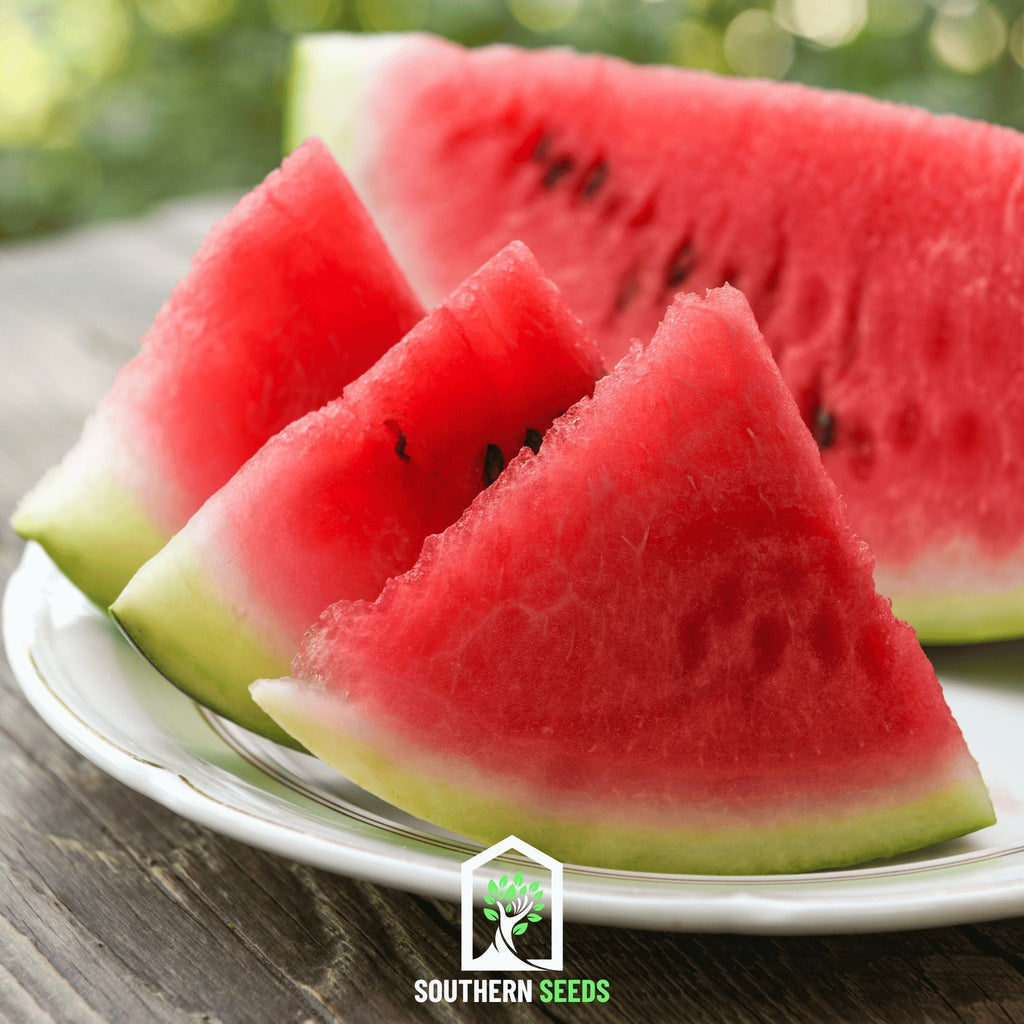 Melon Seed Collection (Watermelon • Cantaloupe • Honeydew)