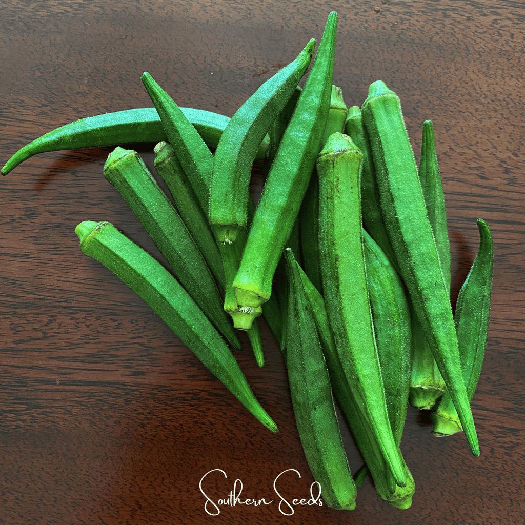 Jambalaya Okra – 50 Seeds