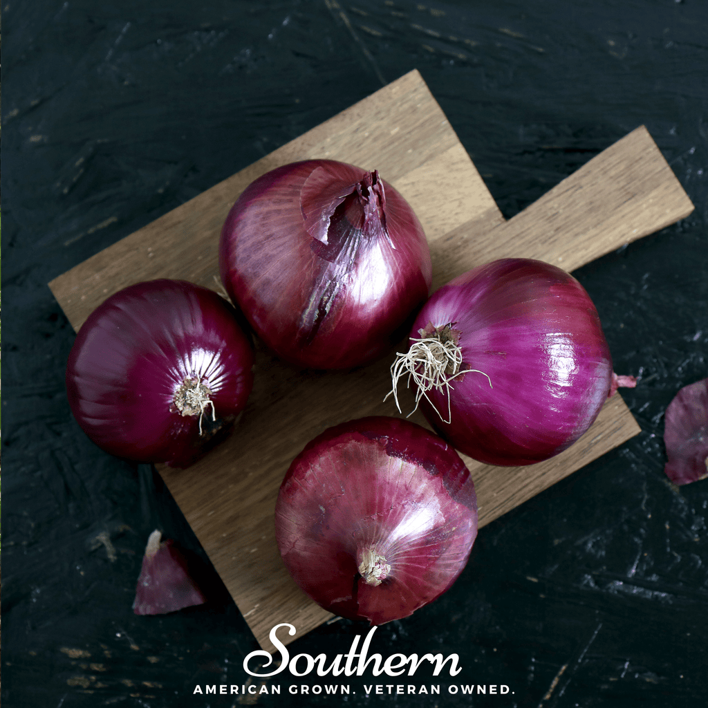 Red Burgundy Onion – 200 Seeds