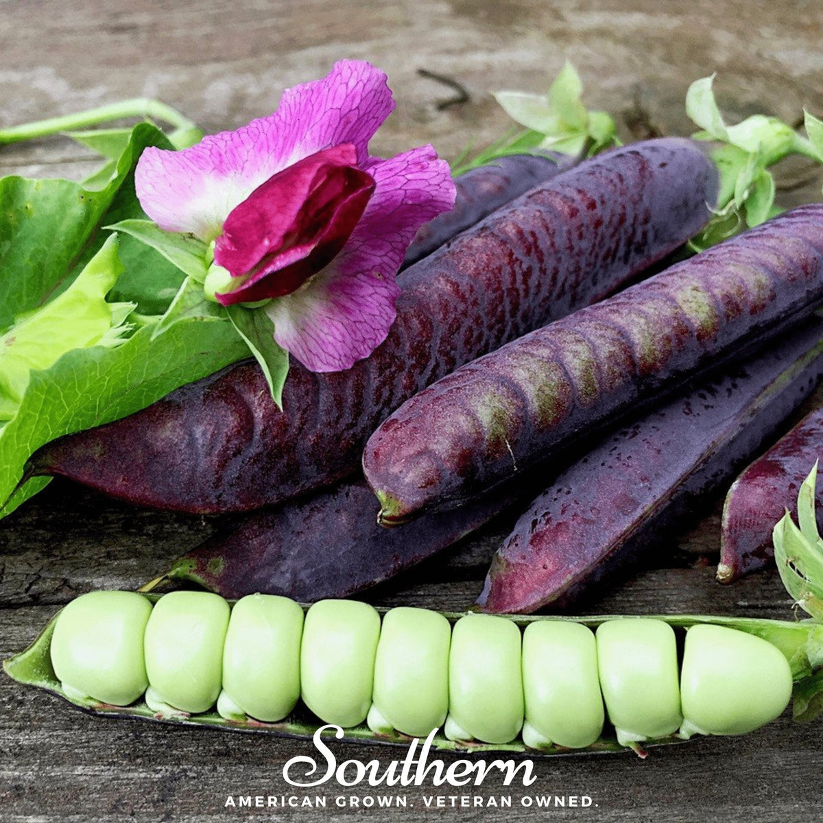 Royal Snap II Peas – 20 Seeds