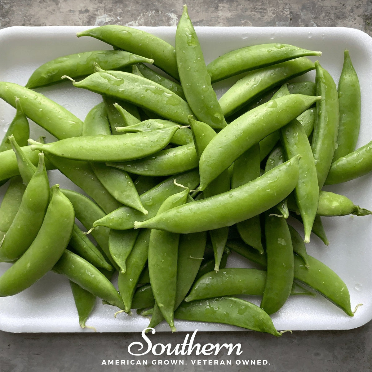 Sugar Snap Peas – 20 Seeds