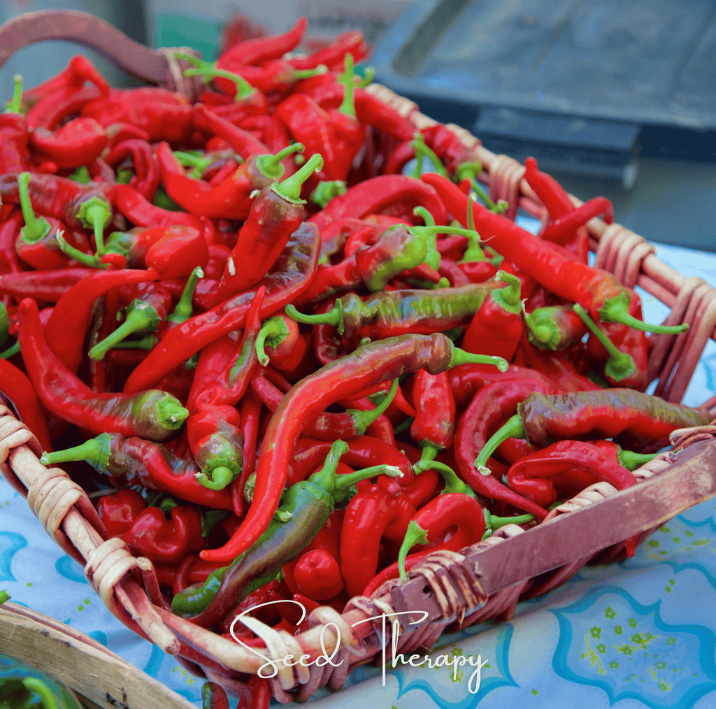 Jimmy Nardello's Pepper – 25 Seeds