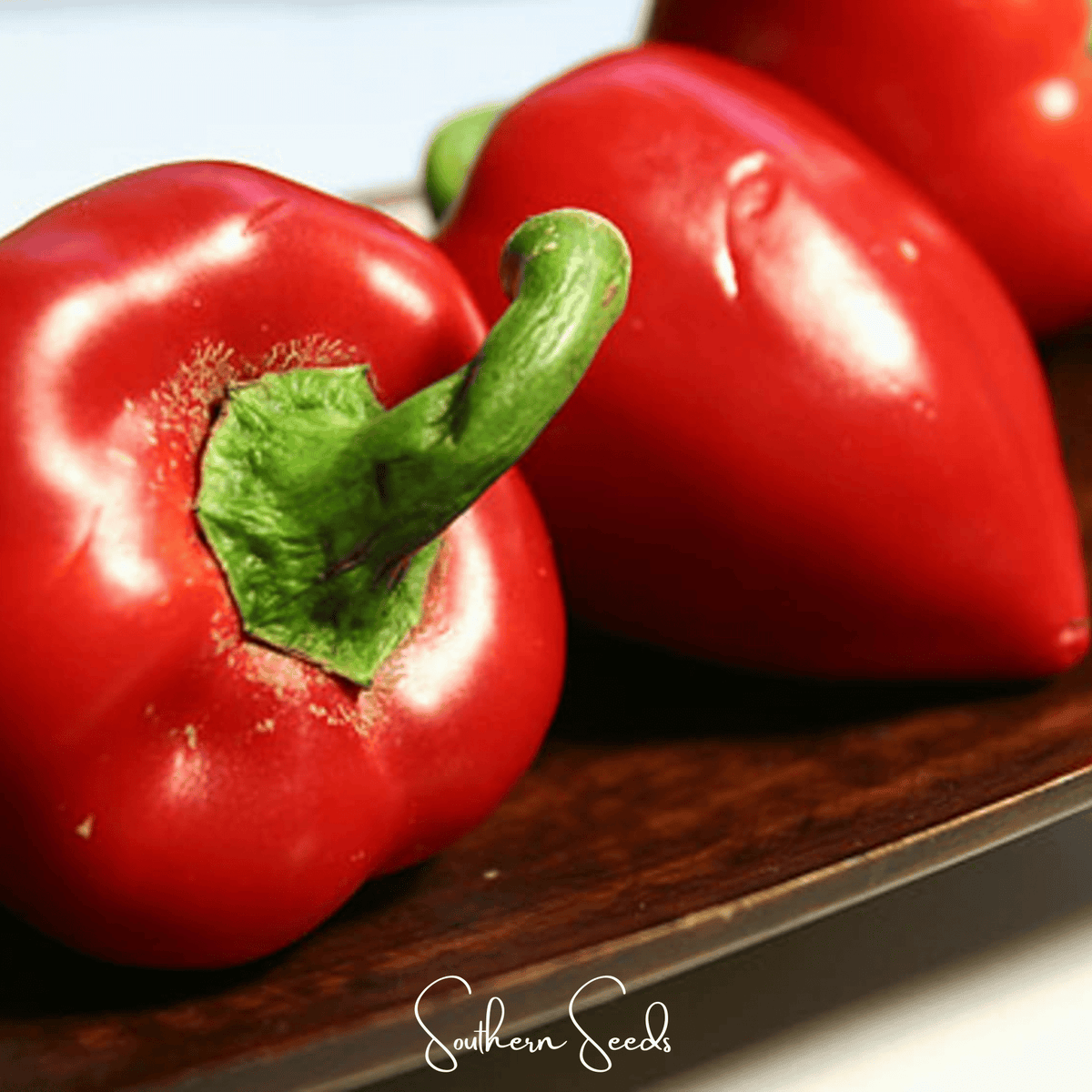 Pimento Sweet Pepper – 25 Seeds