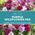 Purple Wildflower Seed Mix – 1,000 Seeds