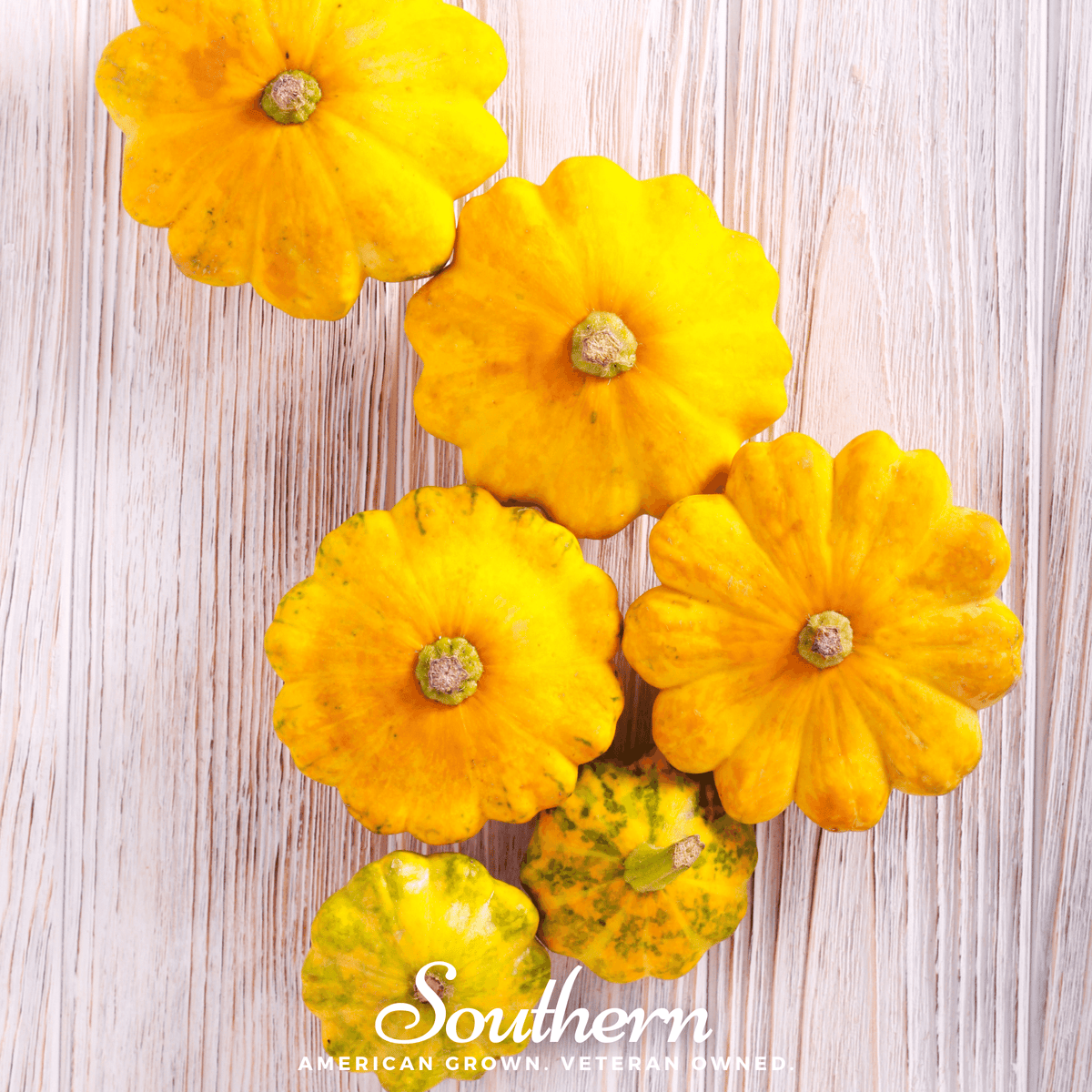 Scallop Yellow Bush Summer Squash – 25 Seeds