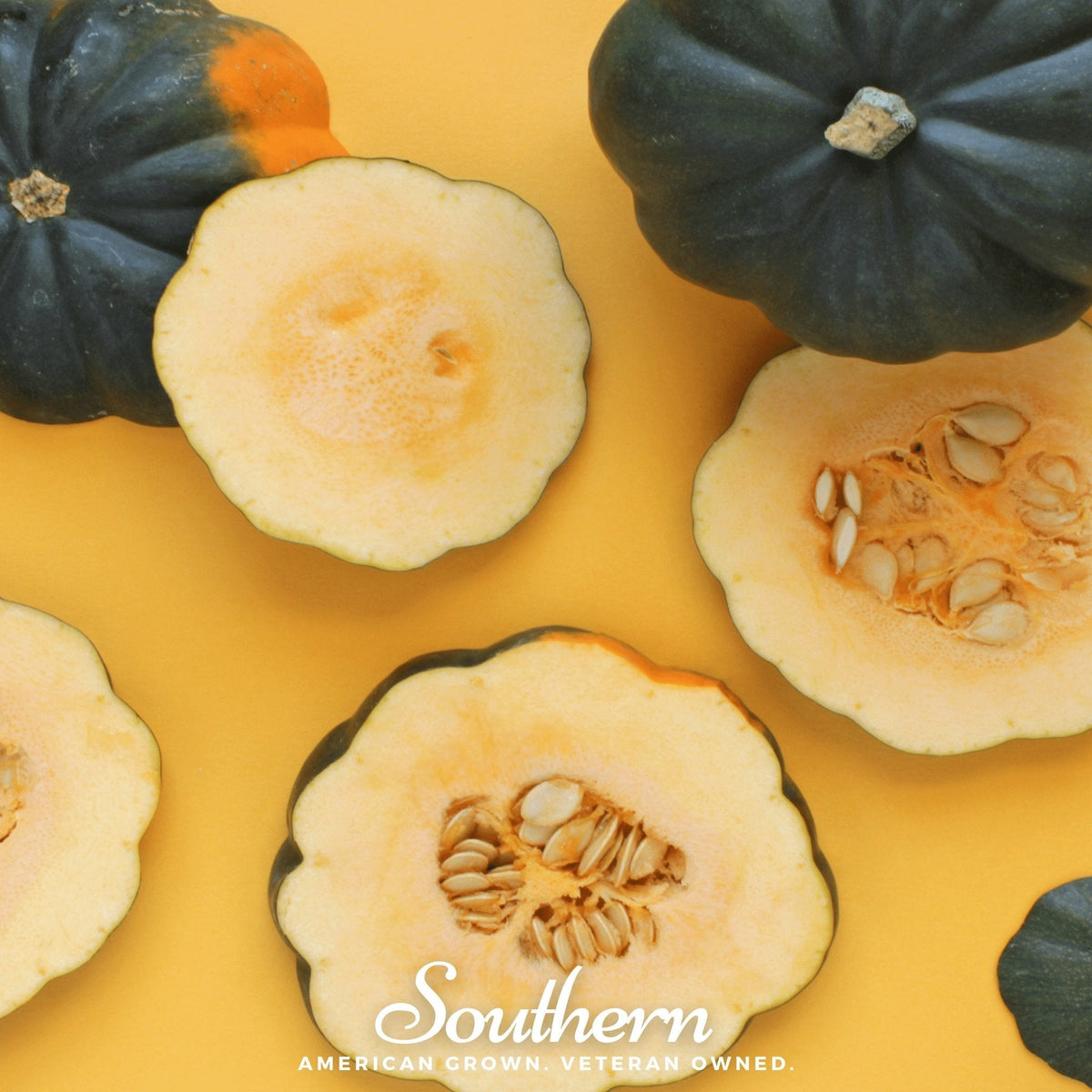 Table King Acorn Winter Squash – 20 Seeds