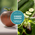Summer Garden Seed Collection – 10 Heat Loving Varieties