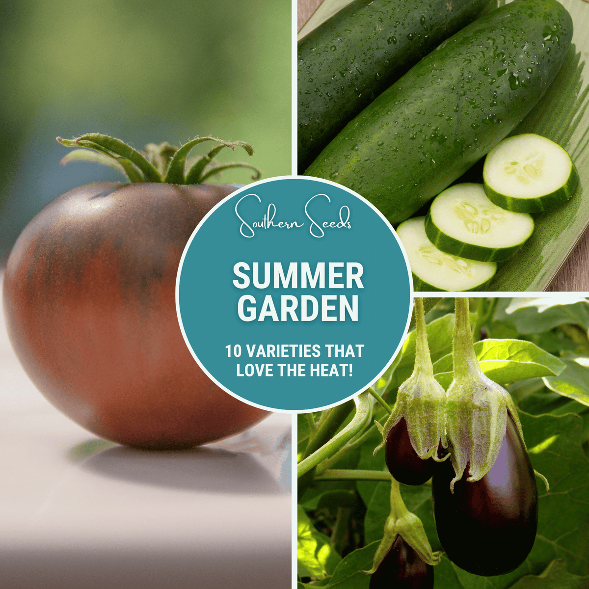 Summer Garden Seed Collection – 10 Heat Loving Varieties