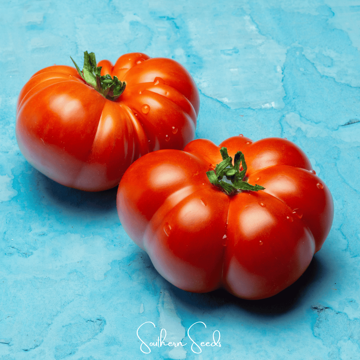 Red Brandywine Tomato –  50 Seeds