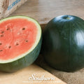 Sugar Baby Watermelon – 25 Seeds